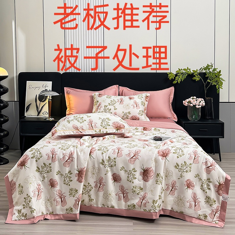 2号【老板推荐】清仓下单为准注意以直播间被子 四件套 被子冬被