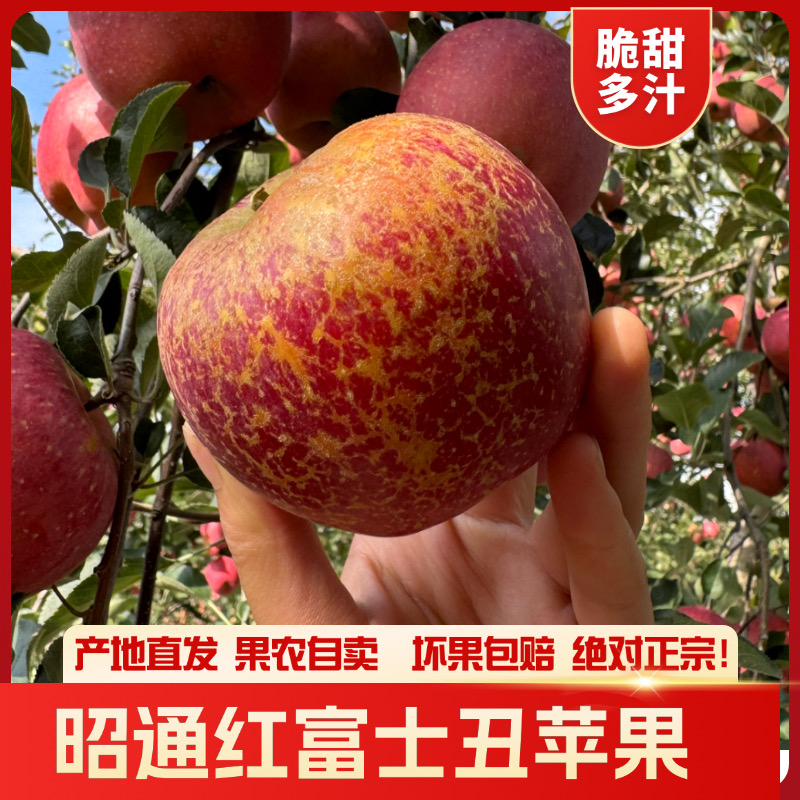 正宗云南昭通红富士冰糖心丑苹果好吃脆甜多汁当季孕妇水果新鲜