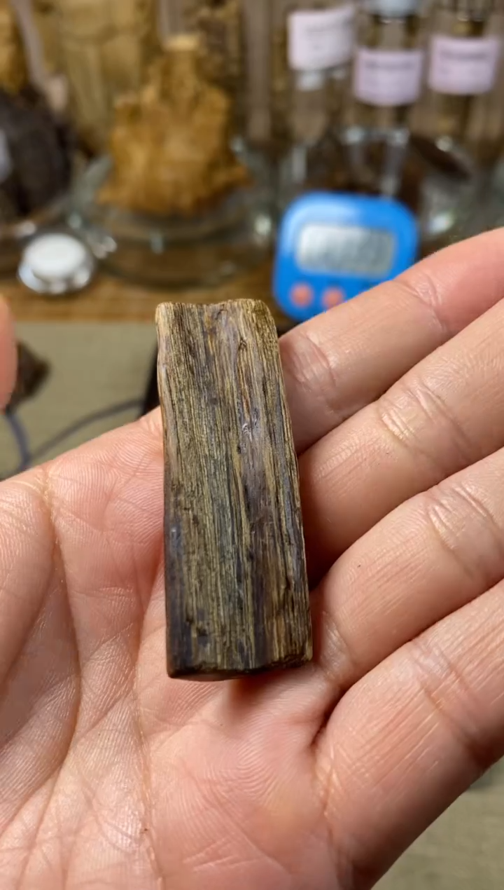 【闪购商品】沉香手把件达拉干九分沉3.19克