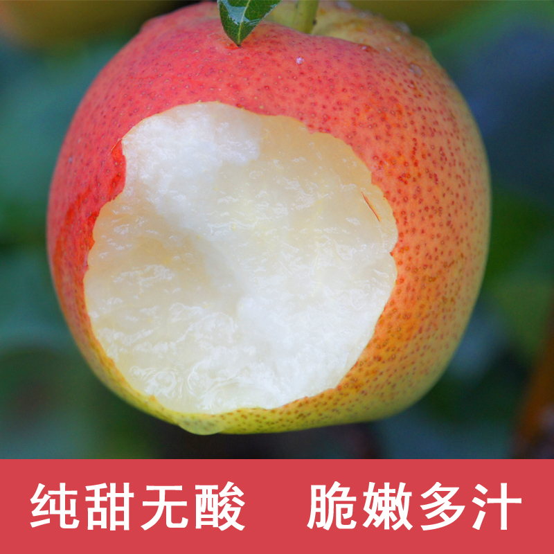 见鹿庄园果子个头小长不大 彩云红梨云南红梨新西兰梨清甜无酸6斤