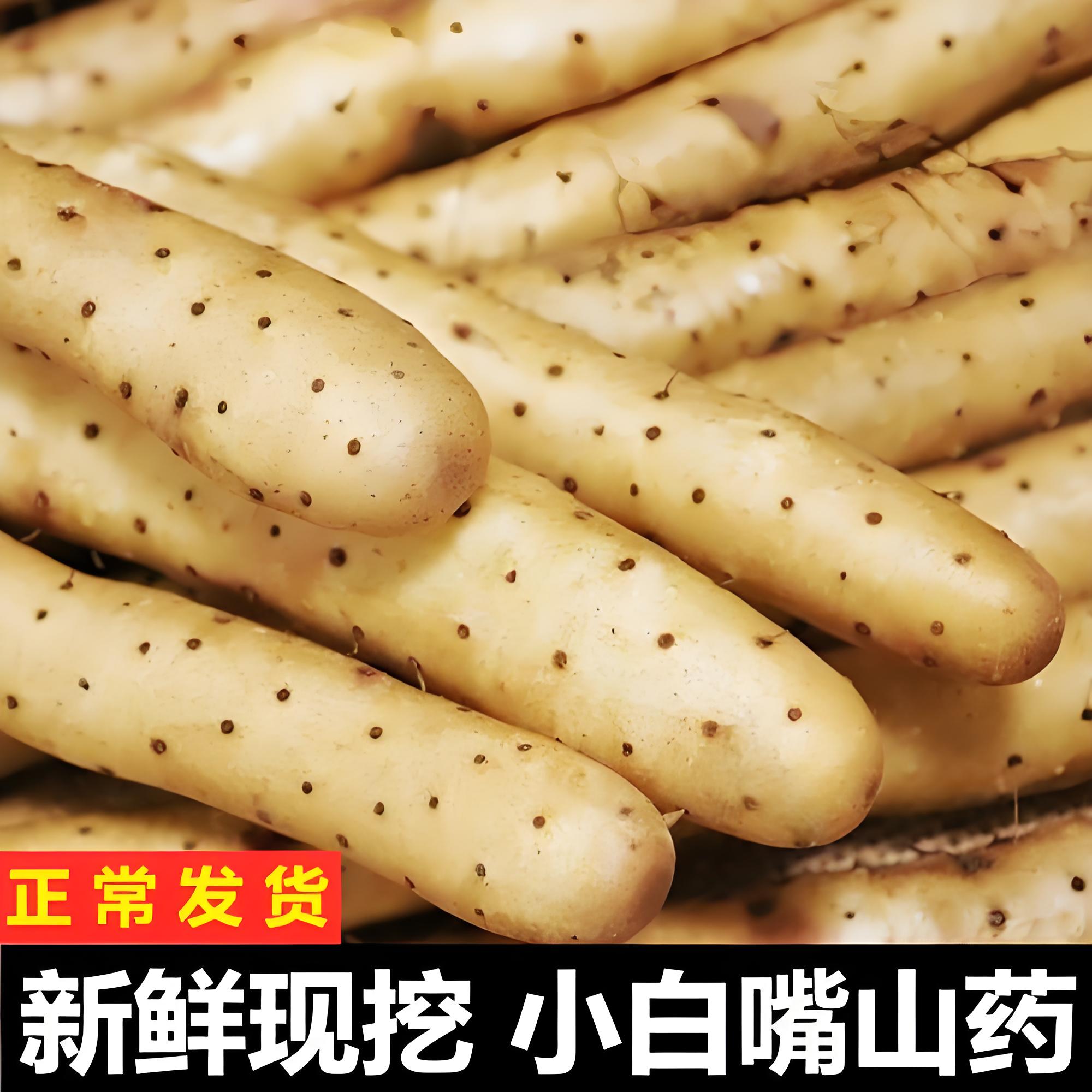 今日福利 小白嘴山药去头去尾 新鲜优质口感超好河北特产5斤营养