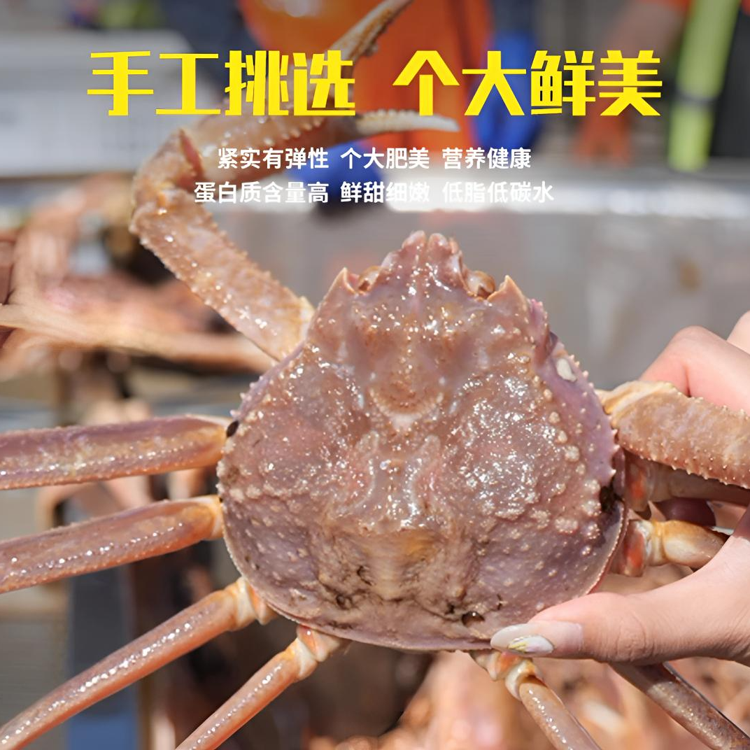 长脚蟹，蟹板蟹，松叶蟹，雪蟹新鲜肉质鲜甜