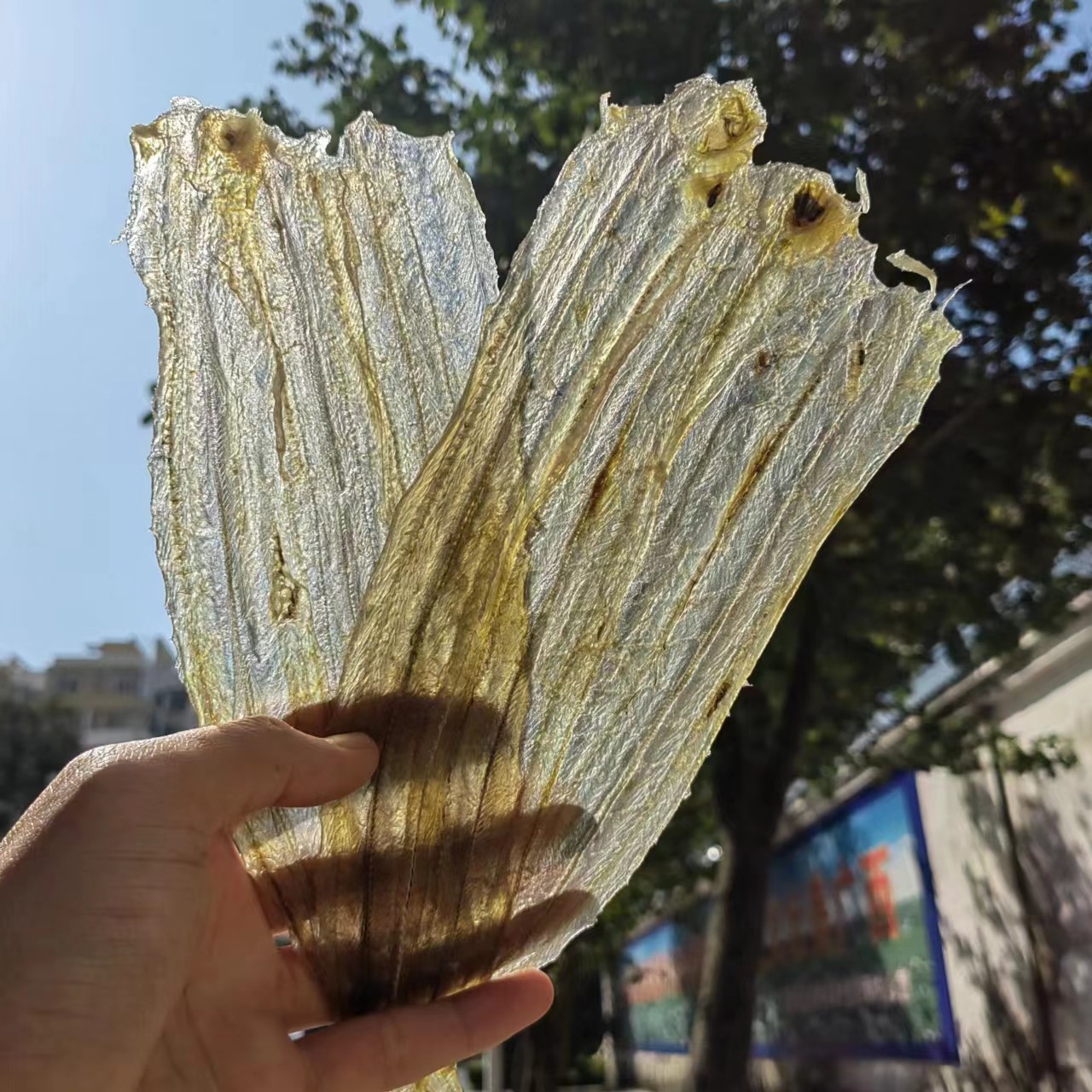 烧烤店专用白鳝干棒棒调味鳗鱼干多味鱼柳烧烤食材非马步鱼甜味