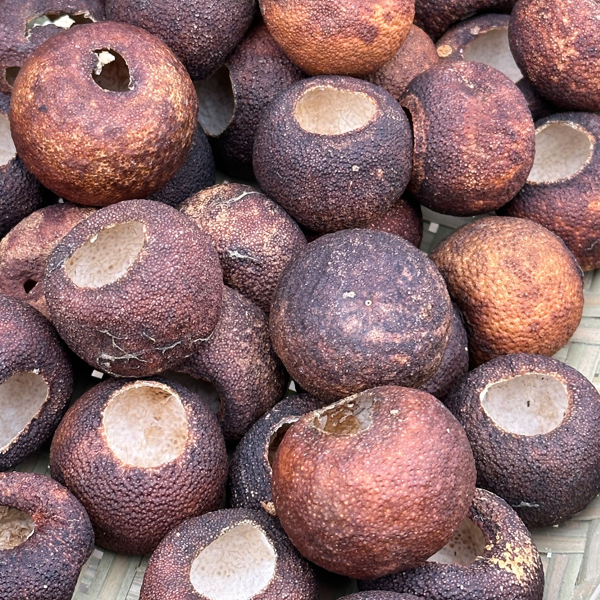 【2015年南坦柑壳】小青柑柑壳