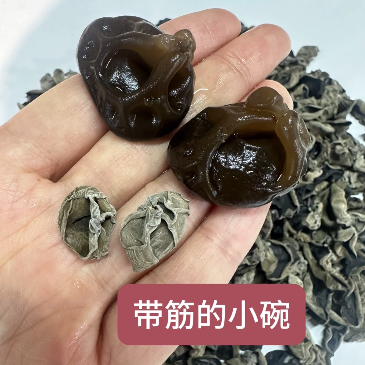 ［东北小碗耳］大兴安岭带筋的小秋耳小碗耳柔软肉厚无根250g干货