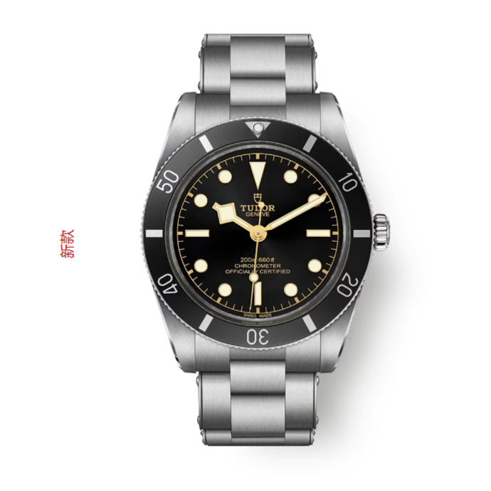 未使用 TUDOR/帝舵 碧湾新款54型/M79000N-0001/37mm超薄运动