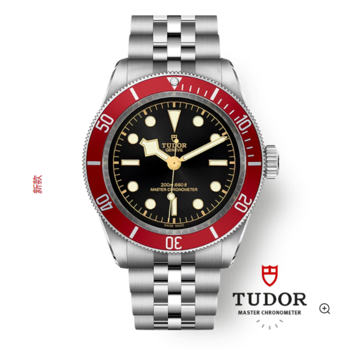 未使用 TUDOR/帝舵 碧湾红盾/M7941A1A0RU-0003/41mm男士名表