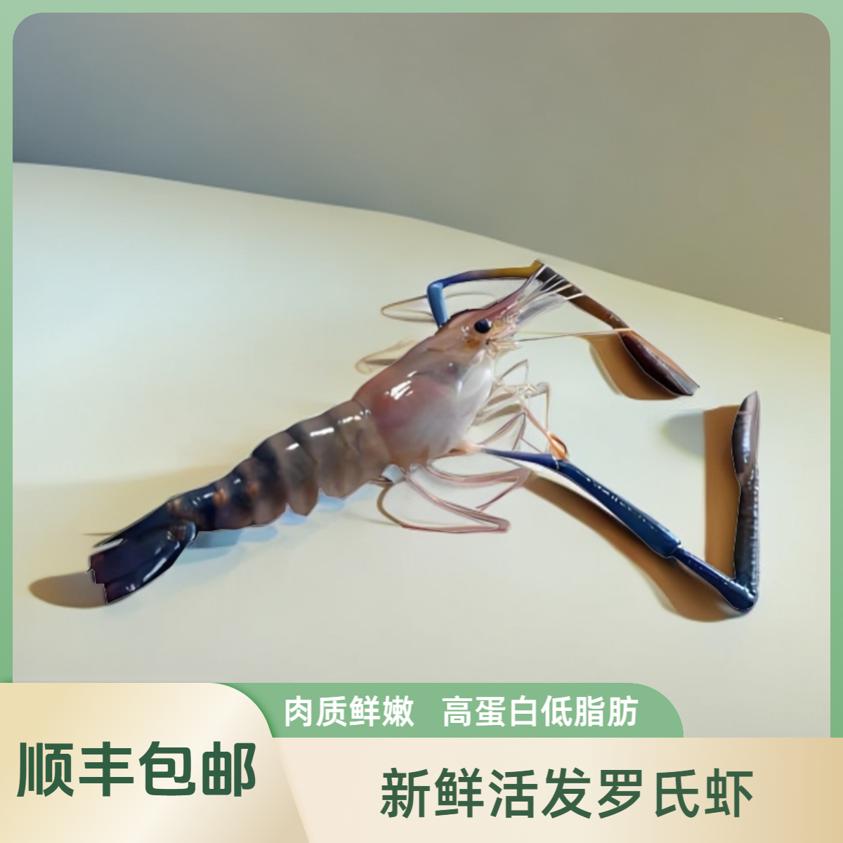 顺丰包邮活装活发罗氏虾2斤起拍  保鲜保肥不保活