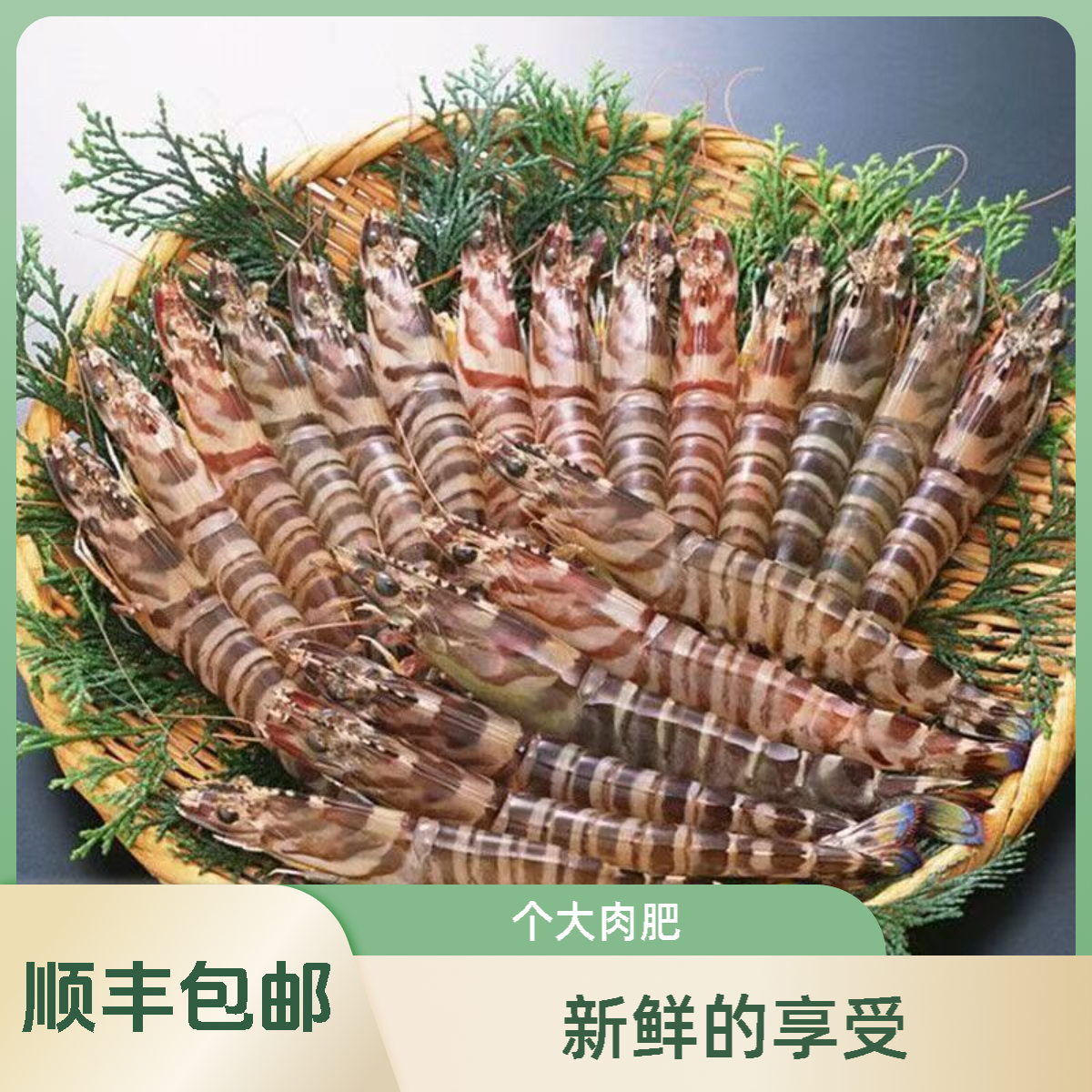 活装活发基围虾保鲜到货不保活顺丰包邮海鲜