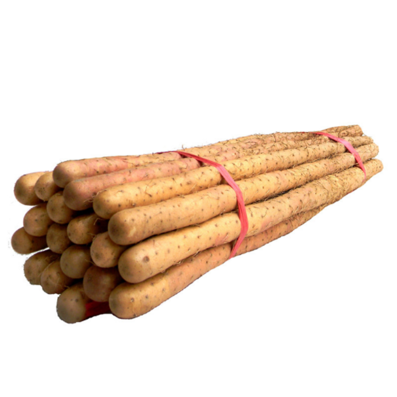 精品铁棍山药450-500g