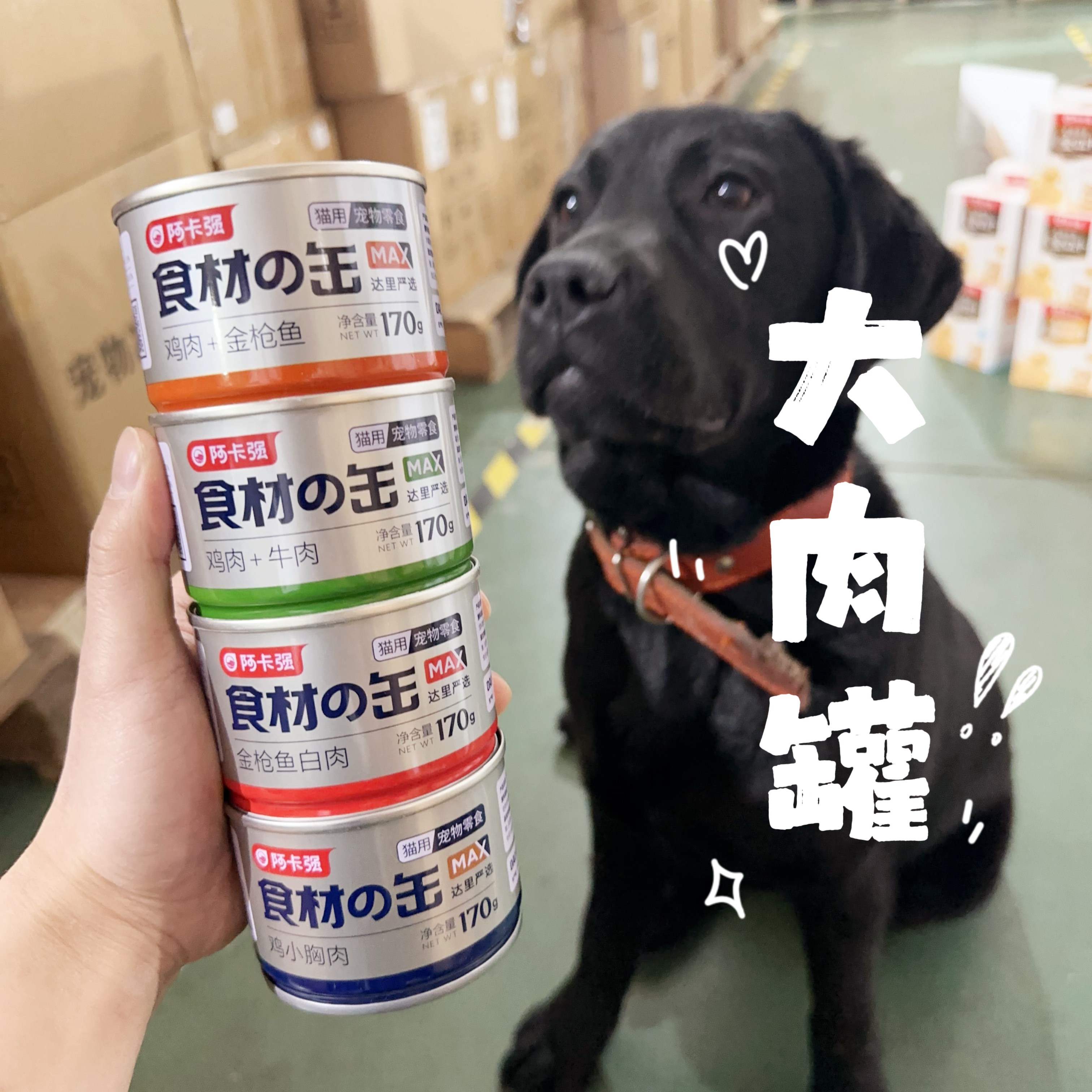 阿卡强满满大肉罐170g 鸡肉口味