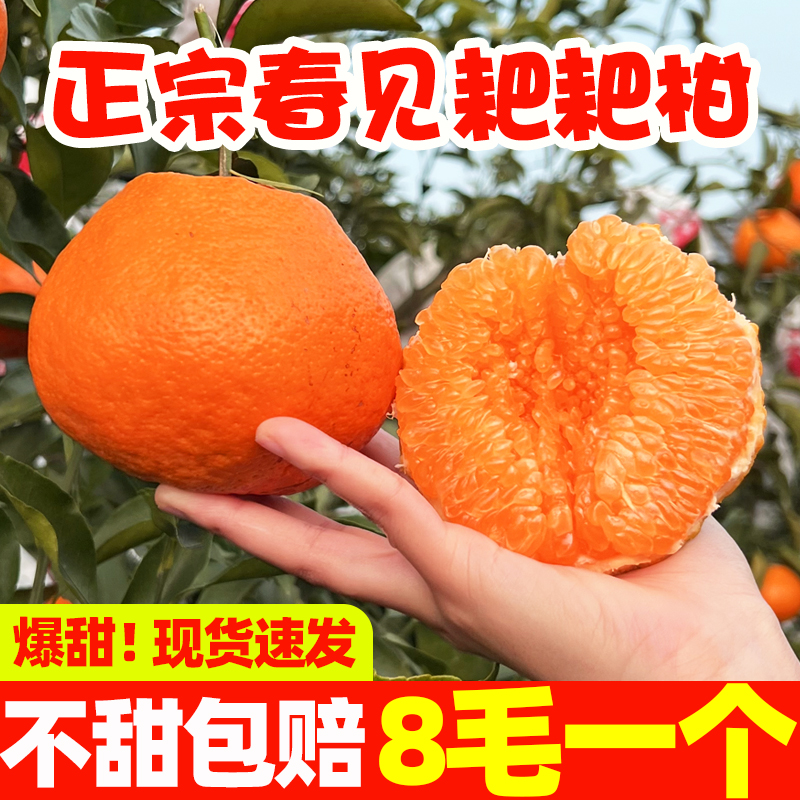 正宗四川眉山春见耙耙柑新鲜水果柑橘橙子非不知火丑橘现香甜爆汁