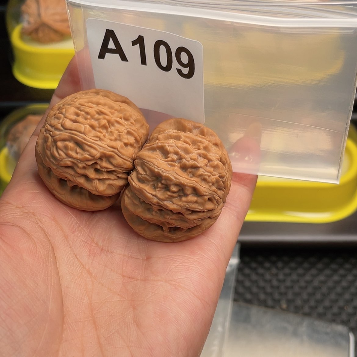【闪购商品】文玩核桃把件A109白狮子40