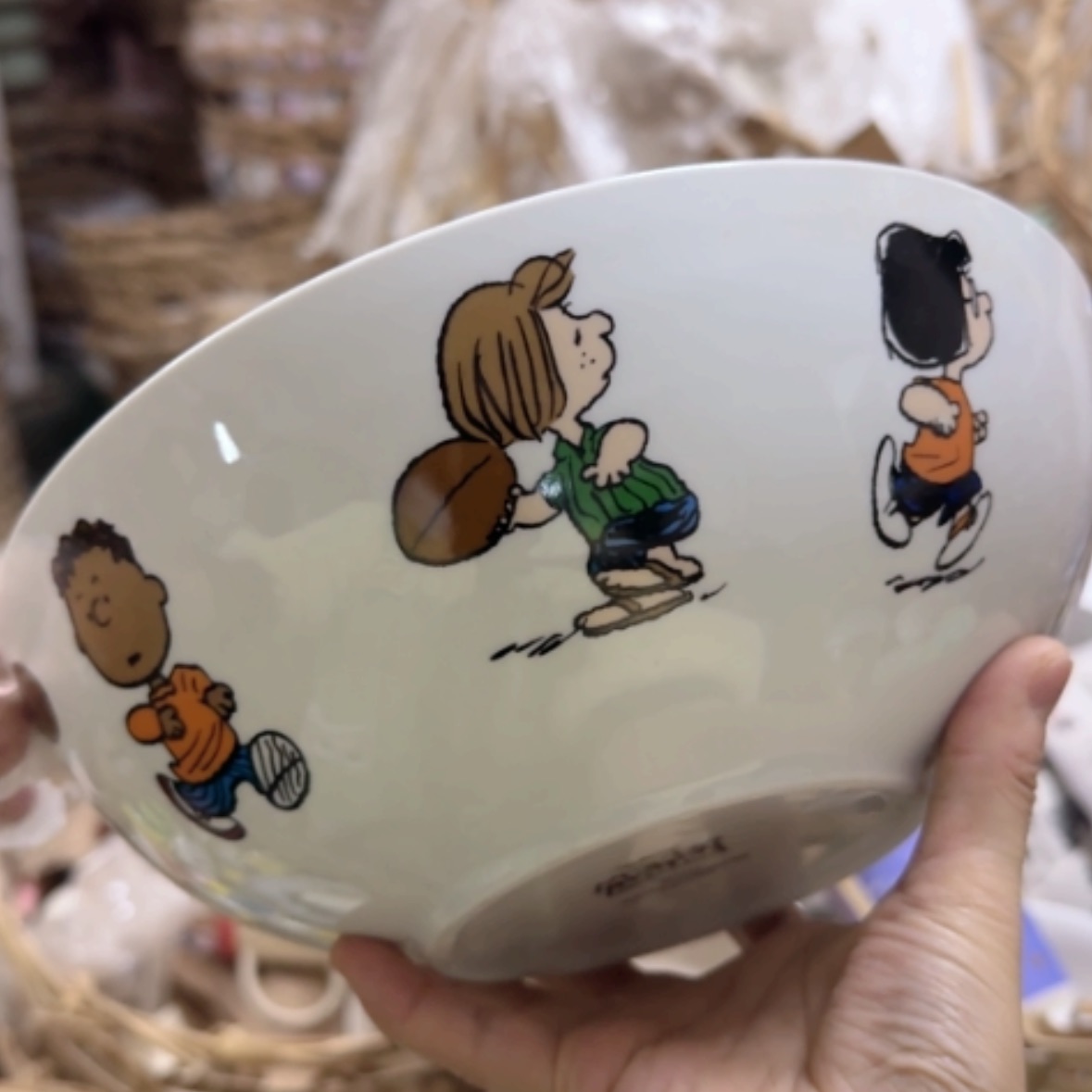 【闪购商品】密胺碟