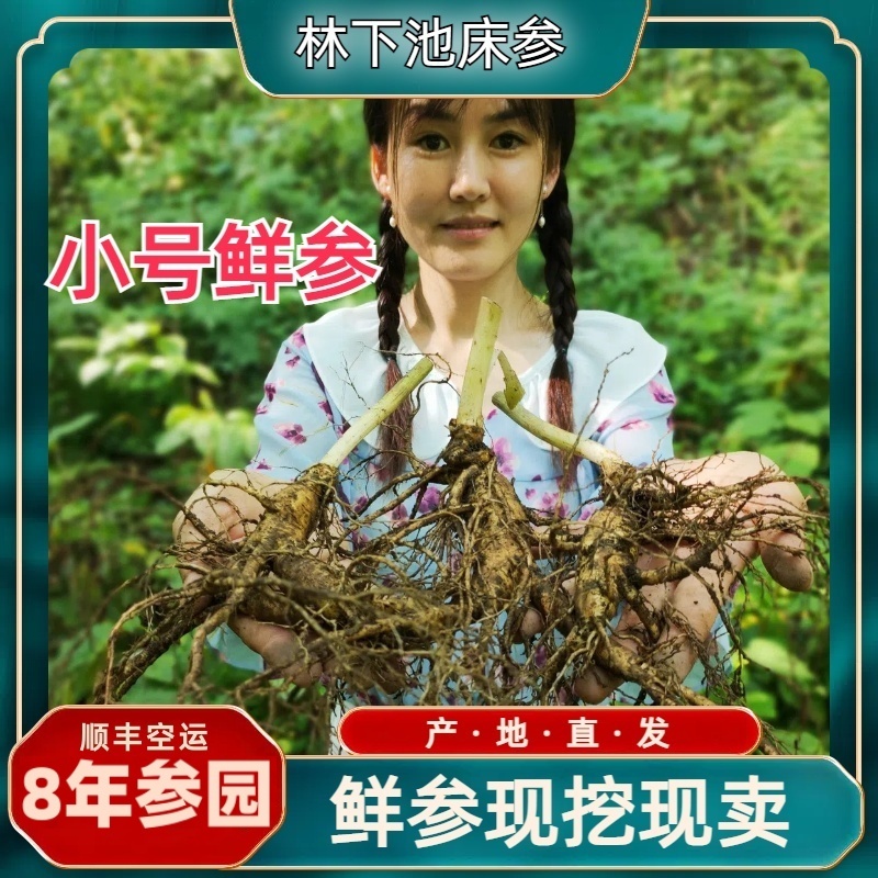 林下池床参小号新鲜人参泡酒煲汤送礼泡茶煮茶自产自销农产品产地