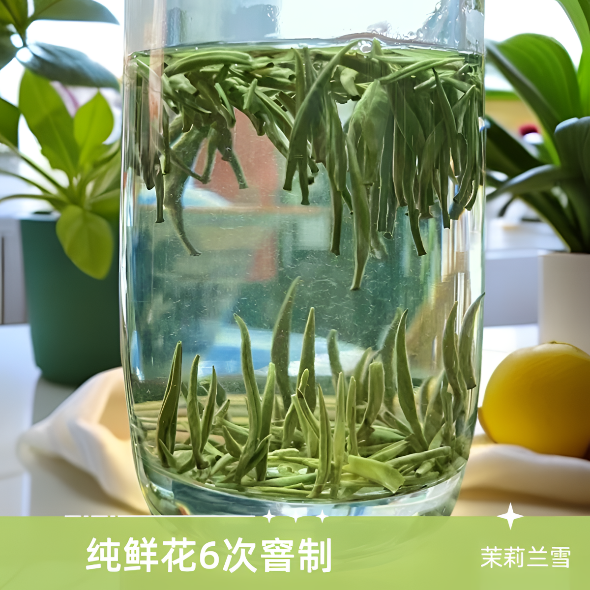 6次窨制茉莉兰雪(雀舌银针)全芽免费试喝高品质新茶花香茉莉花茶
