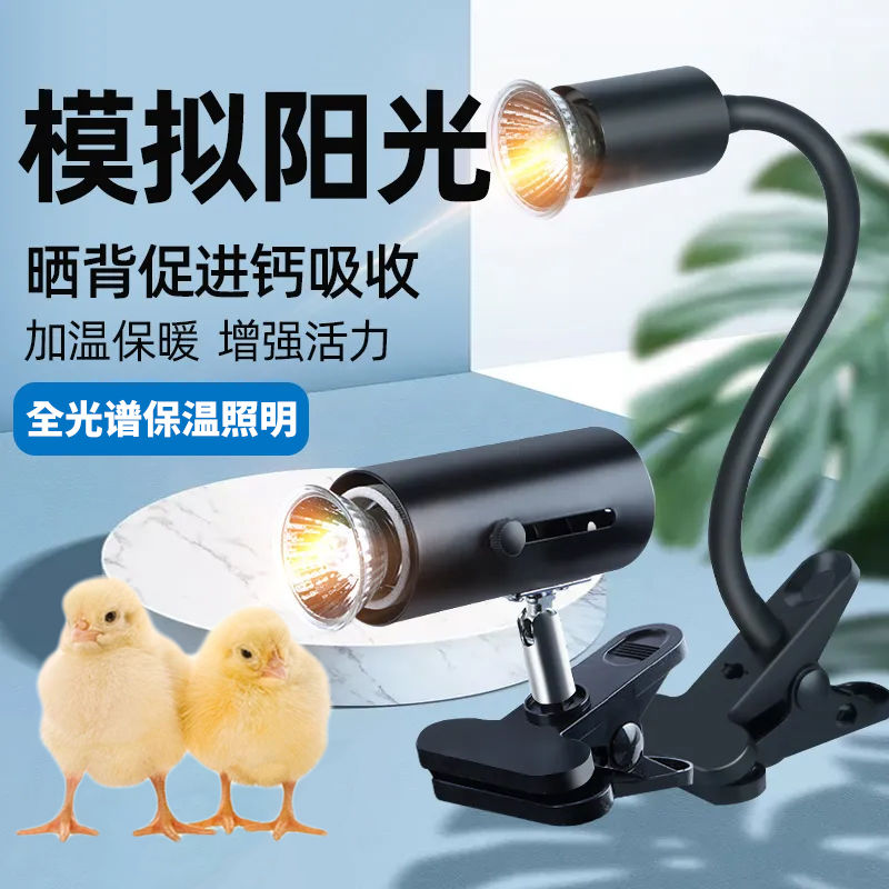 芦丁鸡爬宠鹌鹑箱育雏小鸡保温灯自动控温