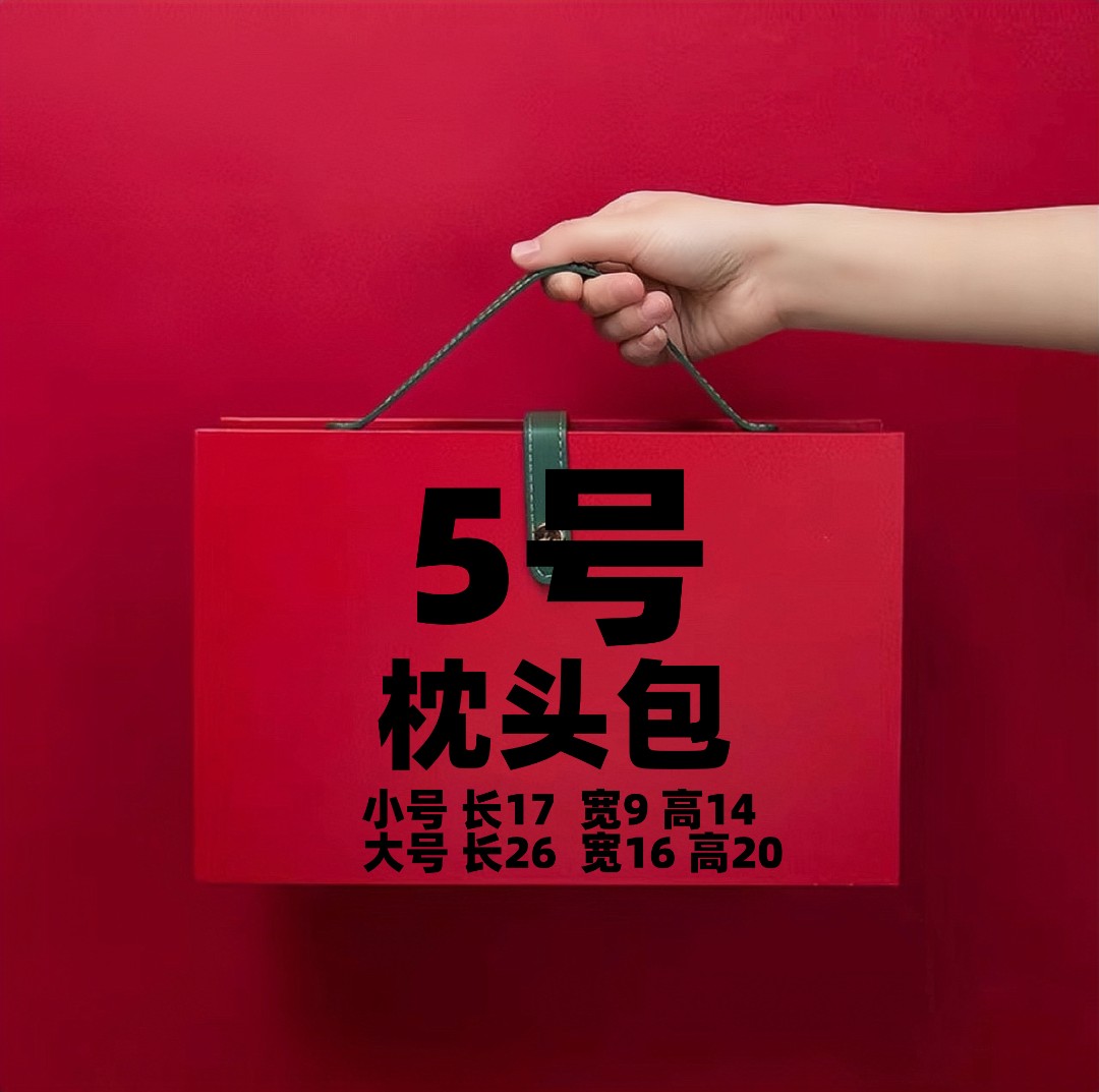 5号】2023网红时尚百搭休闲枕头包6556轻奢简约