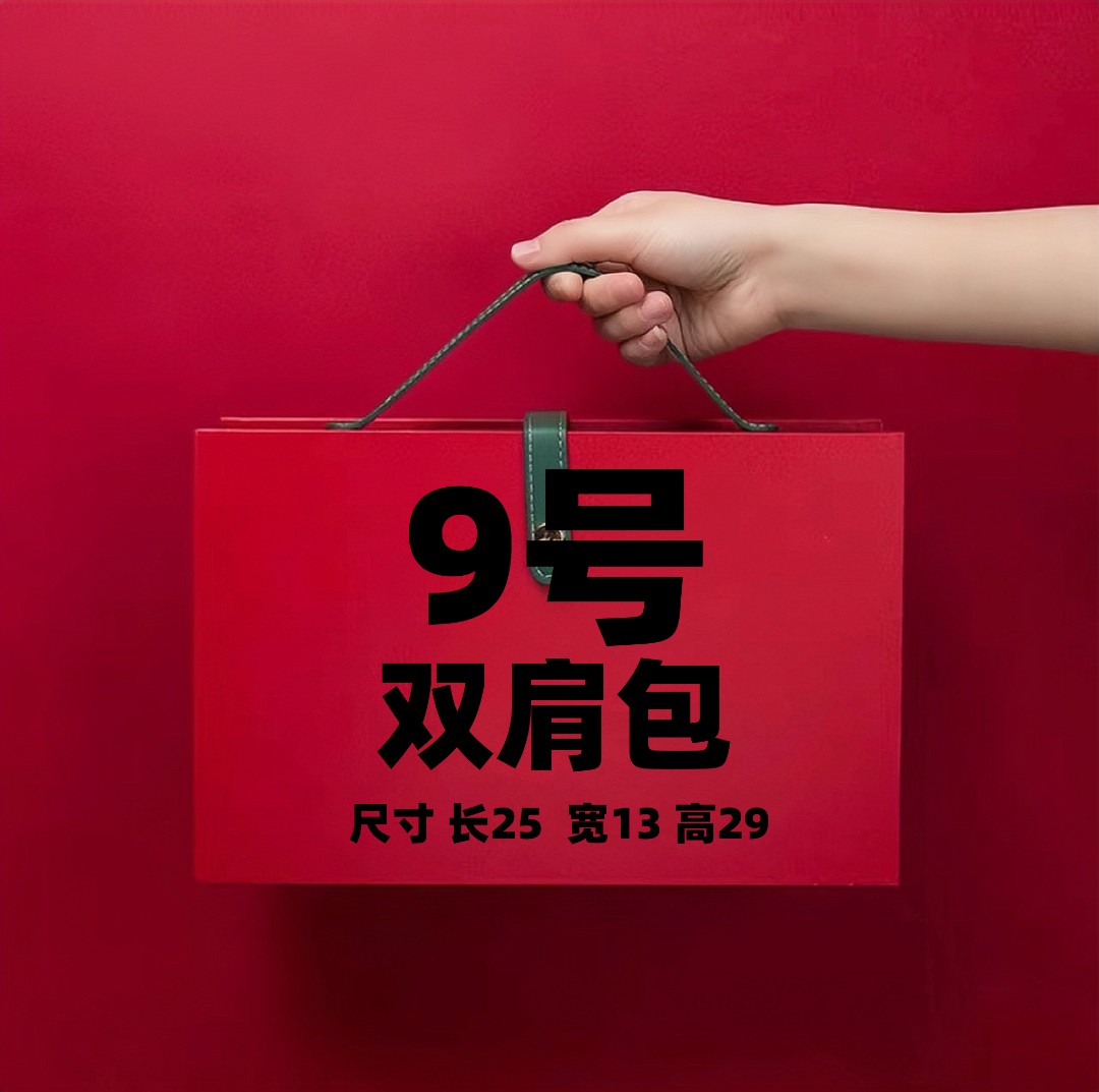 9号】2023网红休闲轻奢双肩横拉背包301 时尚百搭