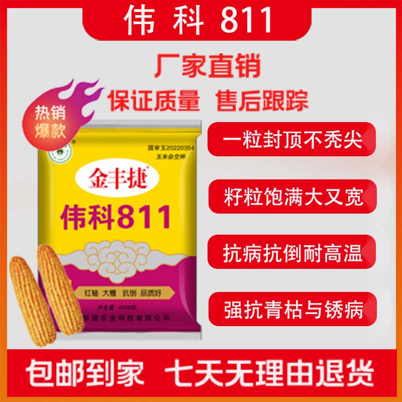 国审高产高抗青枯锈病倒伏耐高温不挑地玉米种子增产增收伟科811