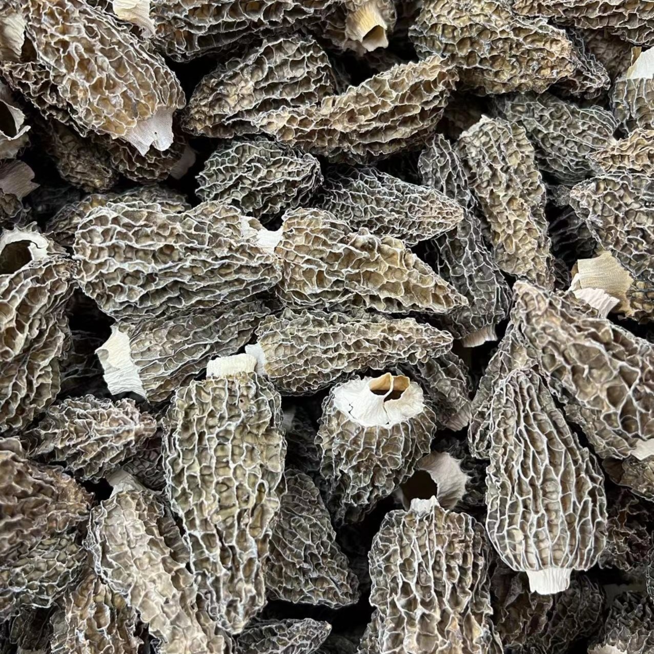 中号/大号/高山修脚羊肚菌菇煲汤/炖汤菌菇特产干货产品