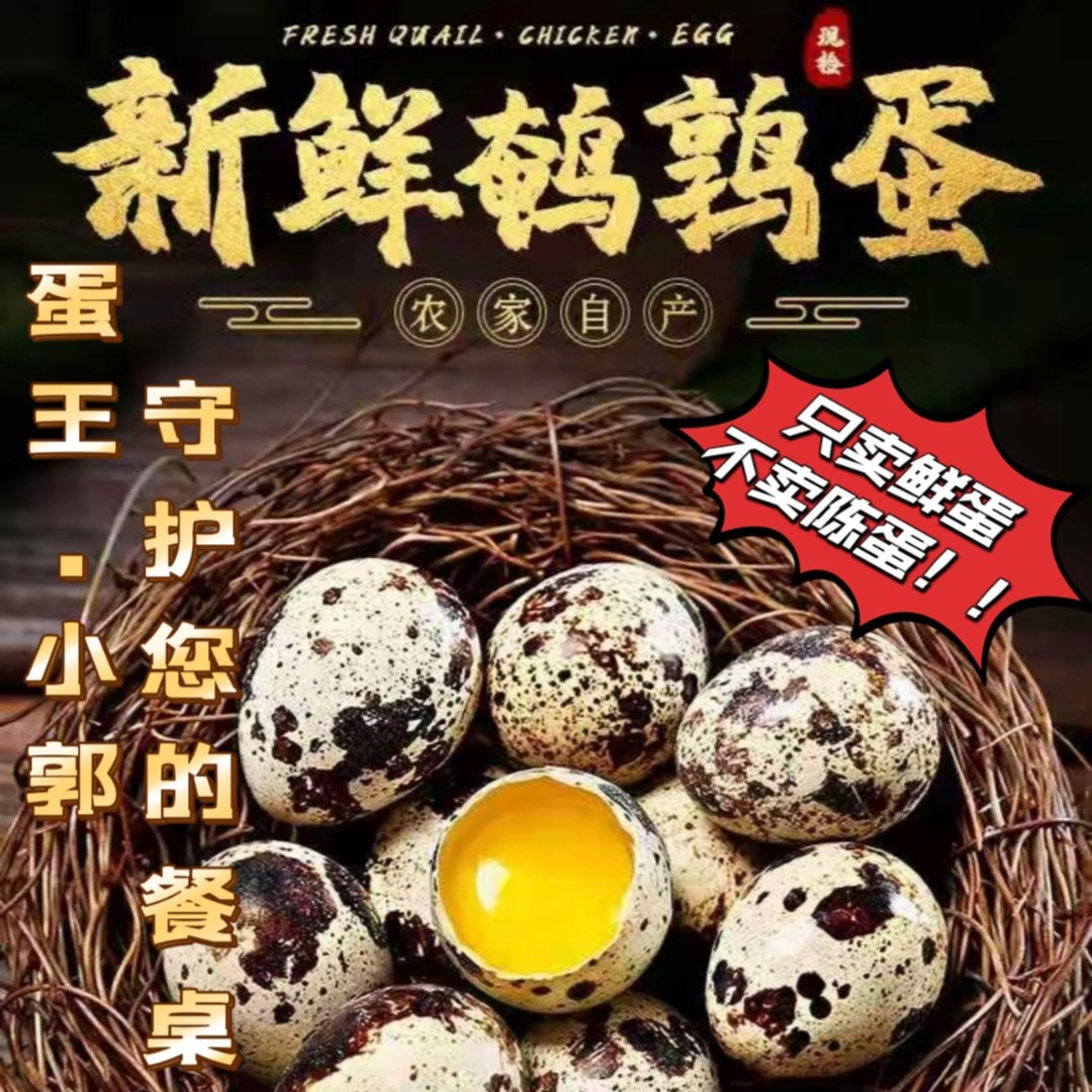 【密云小郭家鹌鹑蛋70枚】装