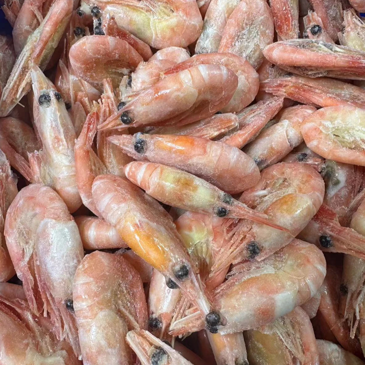 （冷冻）北极甜虾2.2-2.5斤/盒