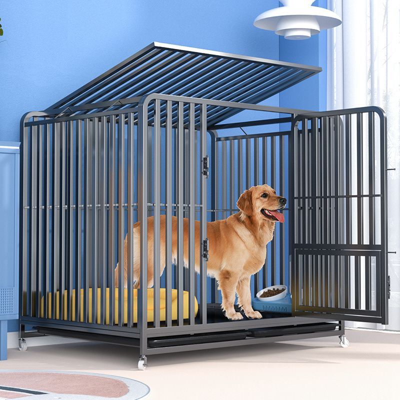 全方管防咬狗笼子大型犬家用带厕所萨摩金毛拉布拉多专用加粗狗笼
