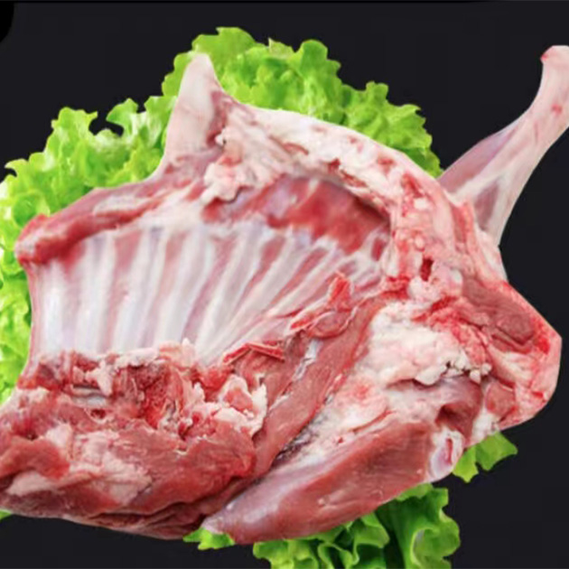 羊前腿带排（6斤）优选新鲜现宰现切空运