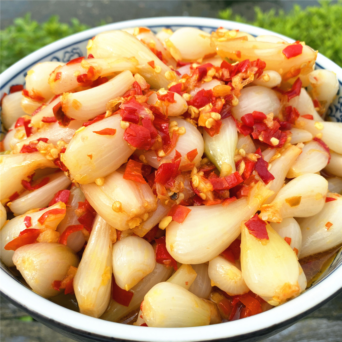 酸辣剁椒藠头508g/瓶小蒜头火葱子无甜味安徽大别山农家口味