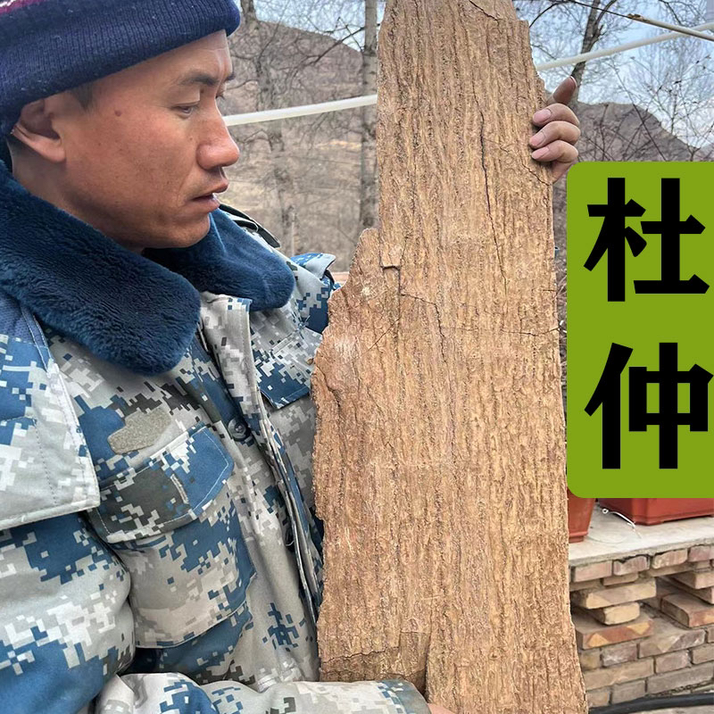 【杜仲】非种植老杜仲皮有整个有切块500g包邮