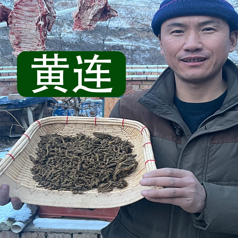 【黄连】甘肃大山多年生黄连有大有小500g包邮新货