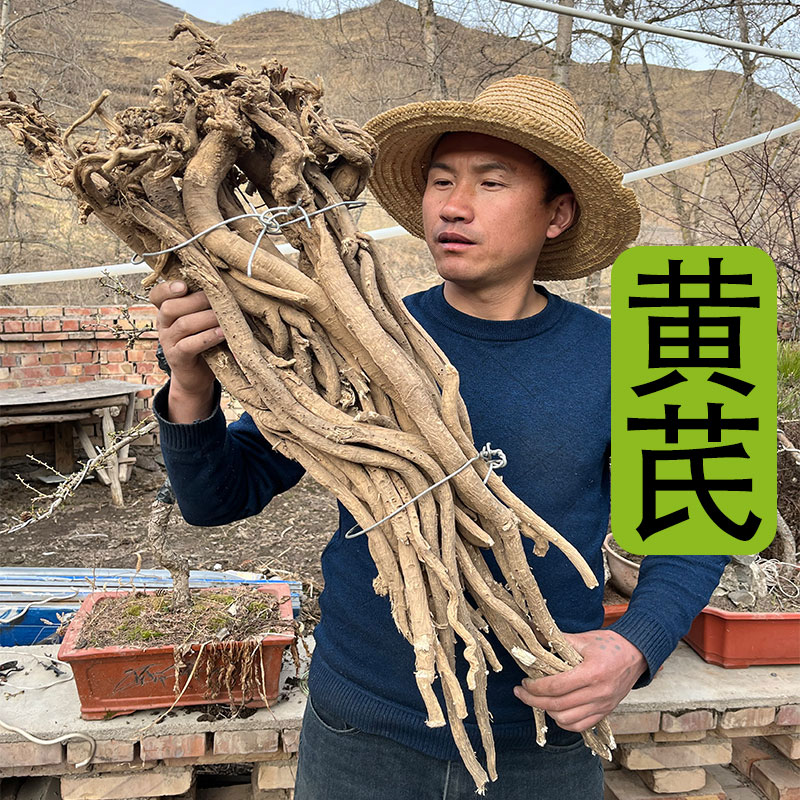 《黄芪》甘肃深山采挖老黄芪非种植多年生主根切片尾枝切片