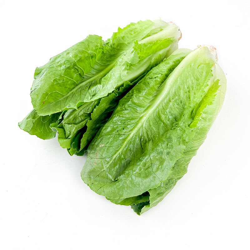 普通生菜 （约1斤）