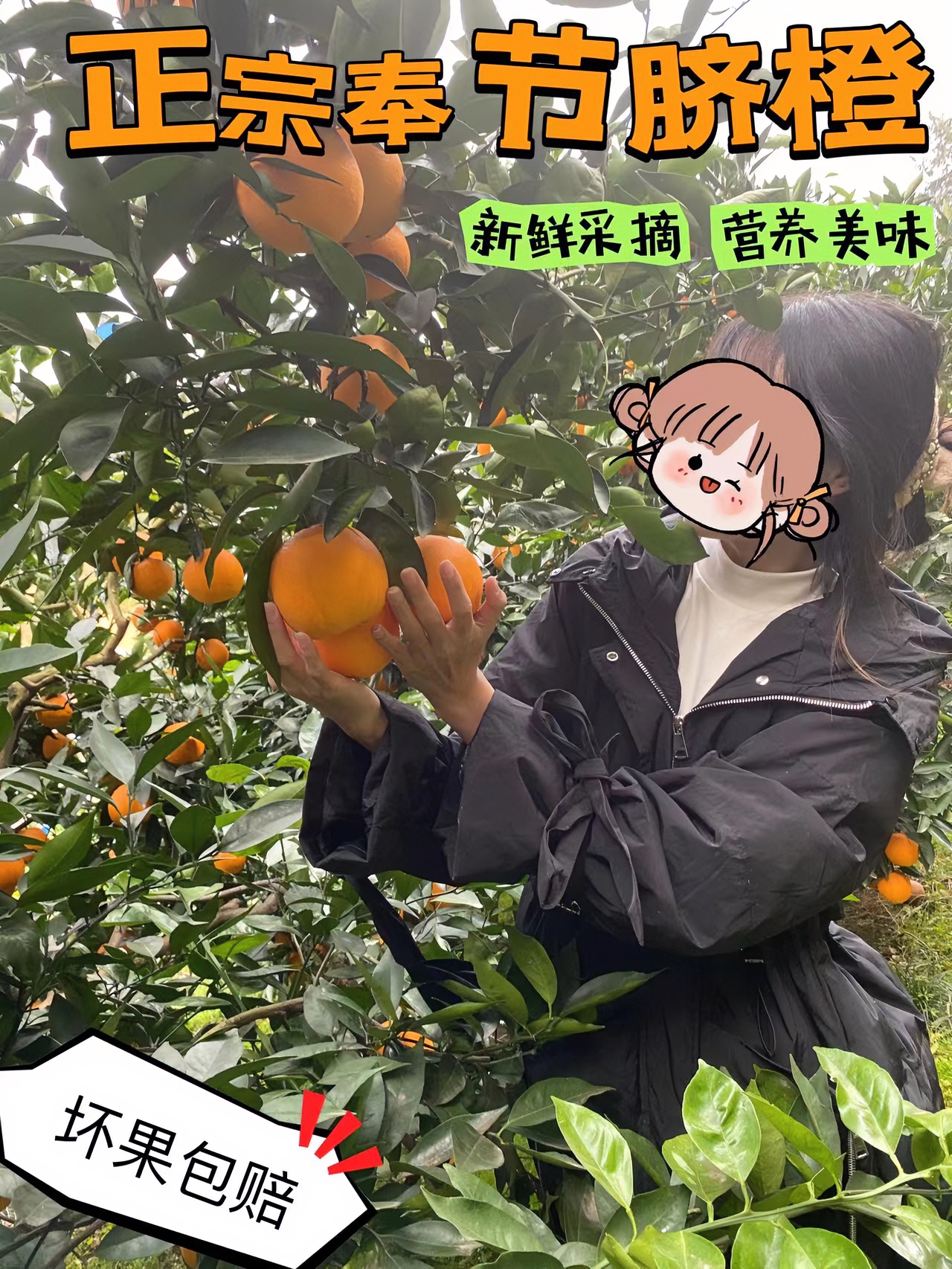 正宗重庆奉节脐橙新鲜水果现摘现发包邮香甜多汁（坏果包赔）