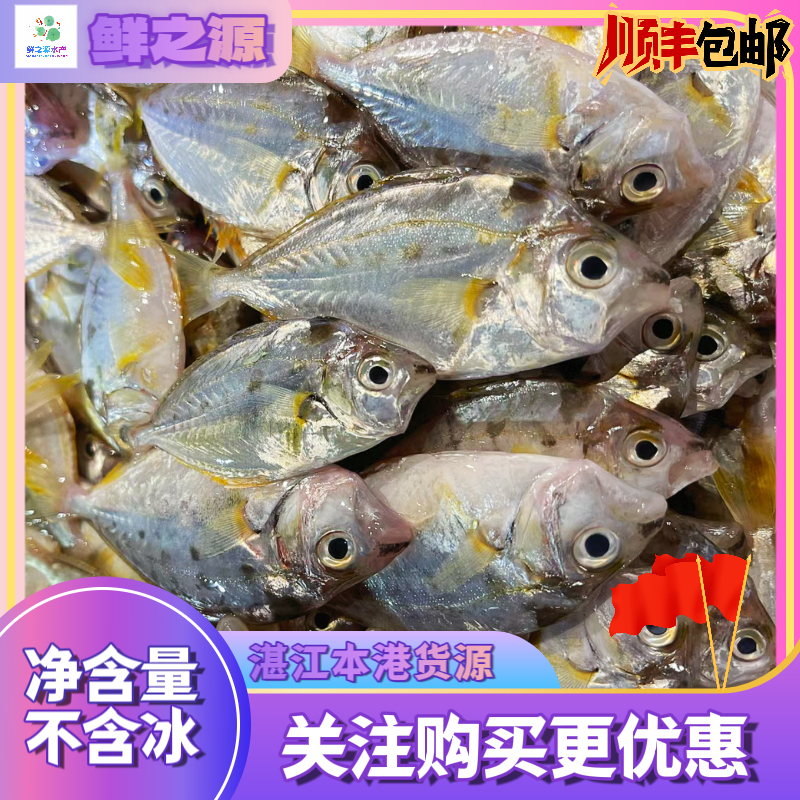 湛江本港 野生流潺鱼 闾魚 煲汤 油焗 顺丰冷链包邮