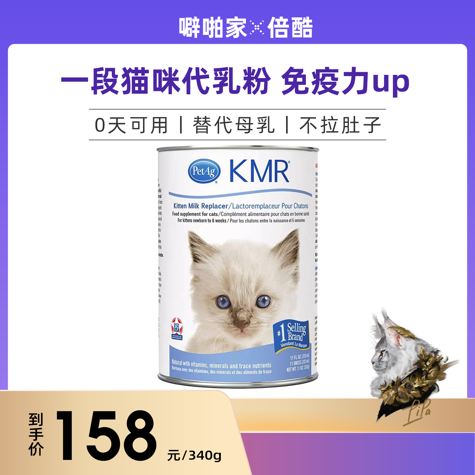 美国倍酷petag猫一段340g初生奶幼猫咪专用幼成年猫贝酷非羊奶粉
