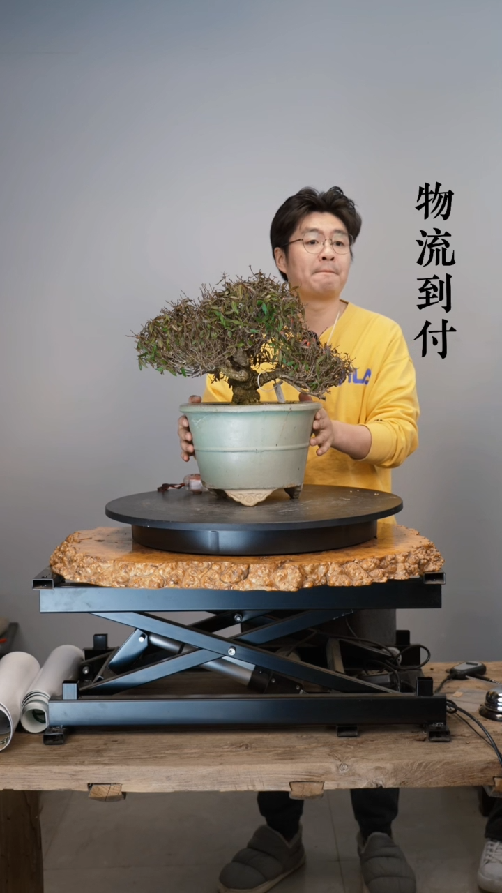 【闪购商品】杂木0767