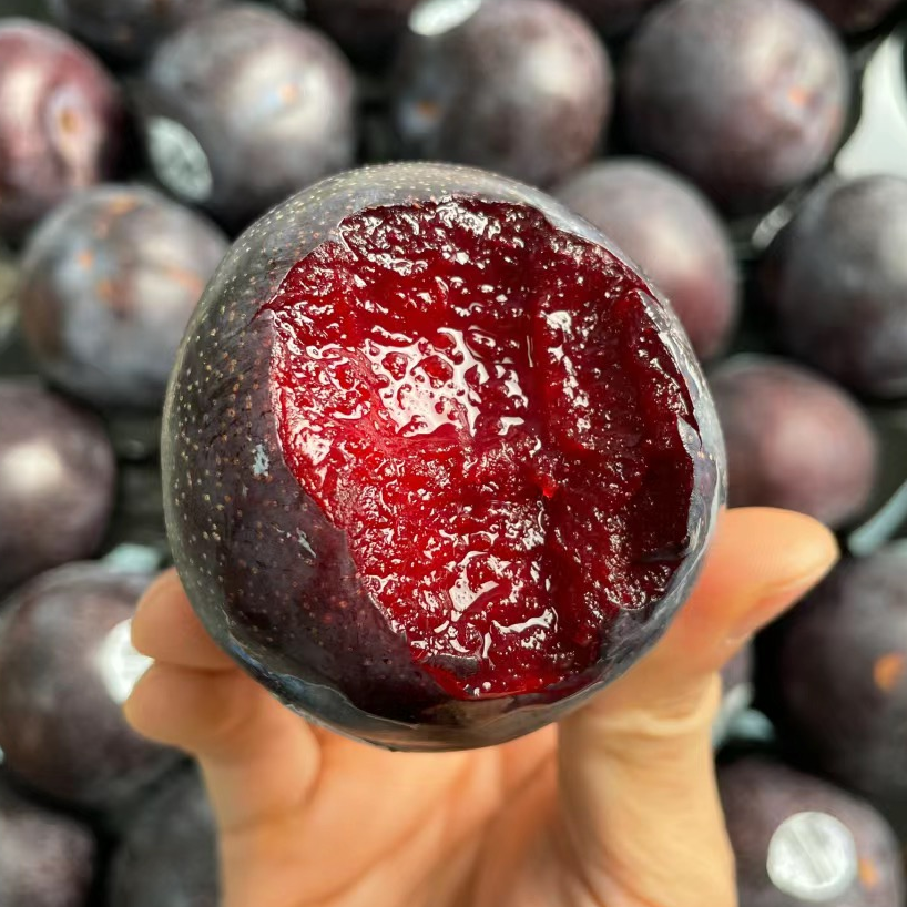 澳洲胭脂女王李血丝李恐龙蛋1-7斤红心李果香当季新鲜多汁