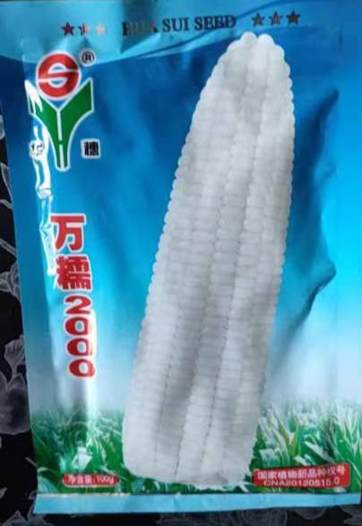 万糯2000种籽种籽