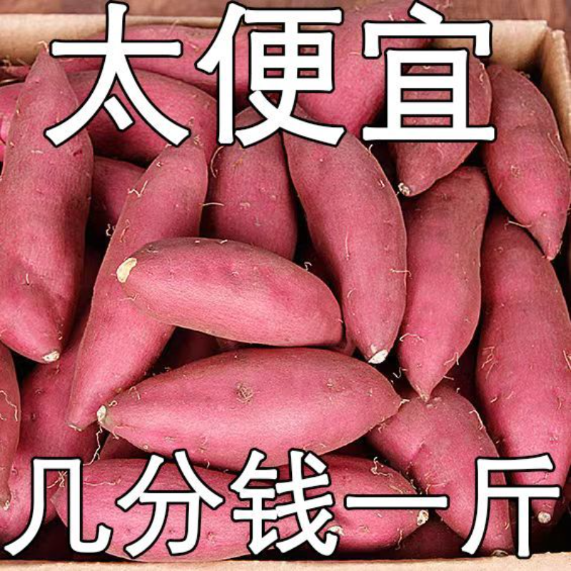 【1元抢购中】超甜沙地红薯1/5/9斤新鲜红黄心蜜薯地瓜番薯水果蔬菜