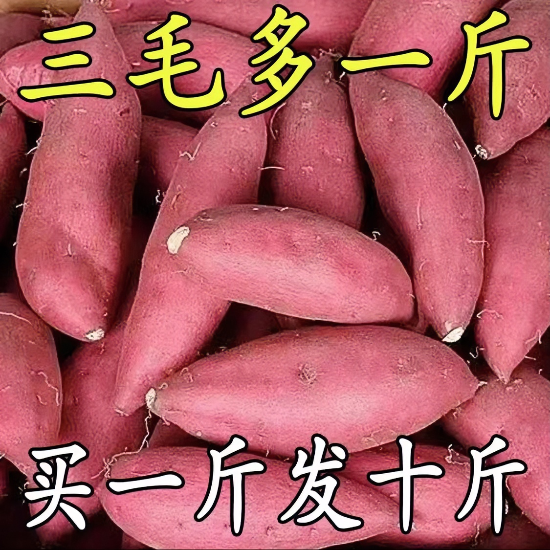 【超低价】超甜沙地红薯1/5/9斤板栗蜜薯批发地瓜产地直发香甜软糯