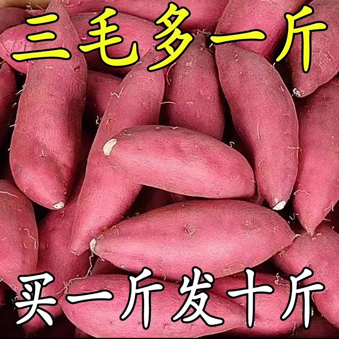 【抢购中】超甜沙地红薯1-9斤新鲜红黄蜜薯板栗薯地瓜番薯蔬菜水果