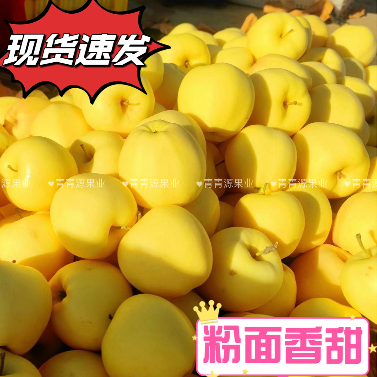 【邮政专属】正宗原产烟台黄元帅苹果水果新鲜粉面香甜多汁可刮泥