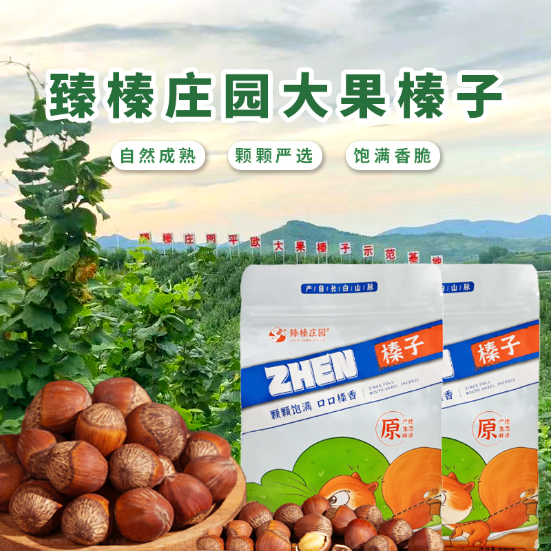 臻榛庄园东北特产经典款平欧大榛子 颗粒饱满香甜酥脆 2025 新货