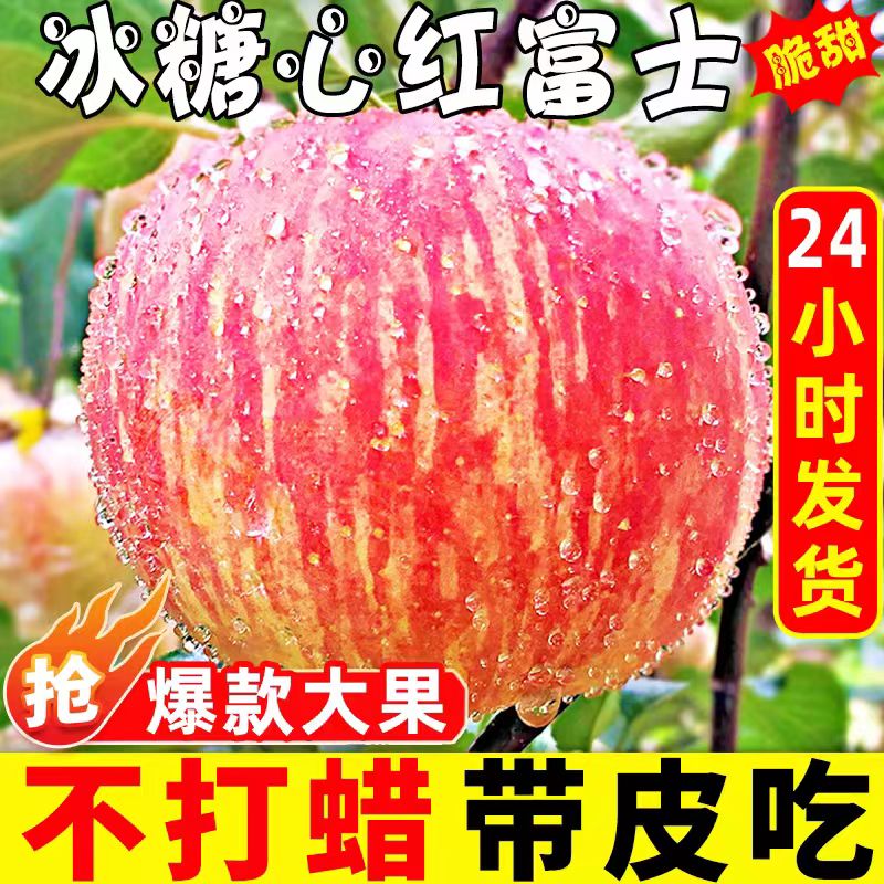 苹果果园直发5斤大果包邮