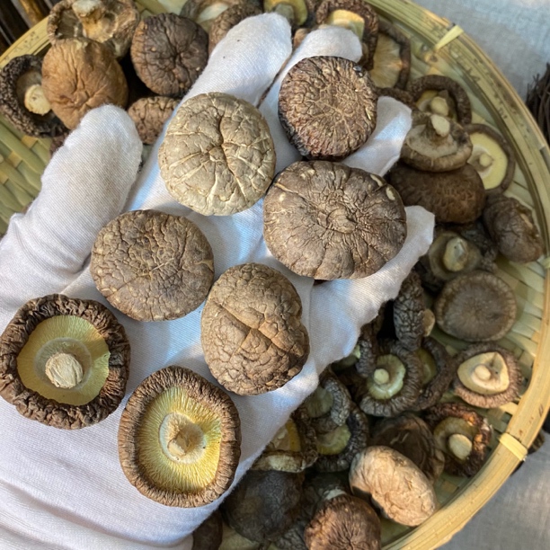 中香古 煲汤炒菜【鸡哥鱼胶福利】