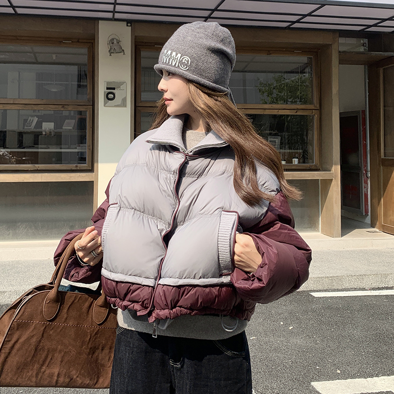 短款针织立领学院风羽绒棉服女2024冬季宽松撞色拼接减龄厚面包服