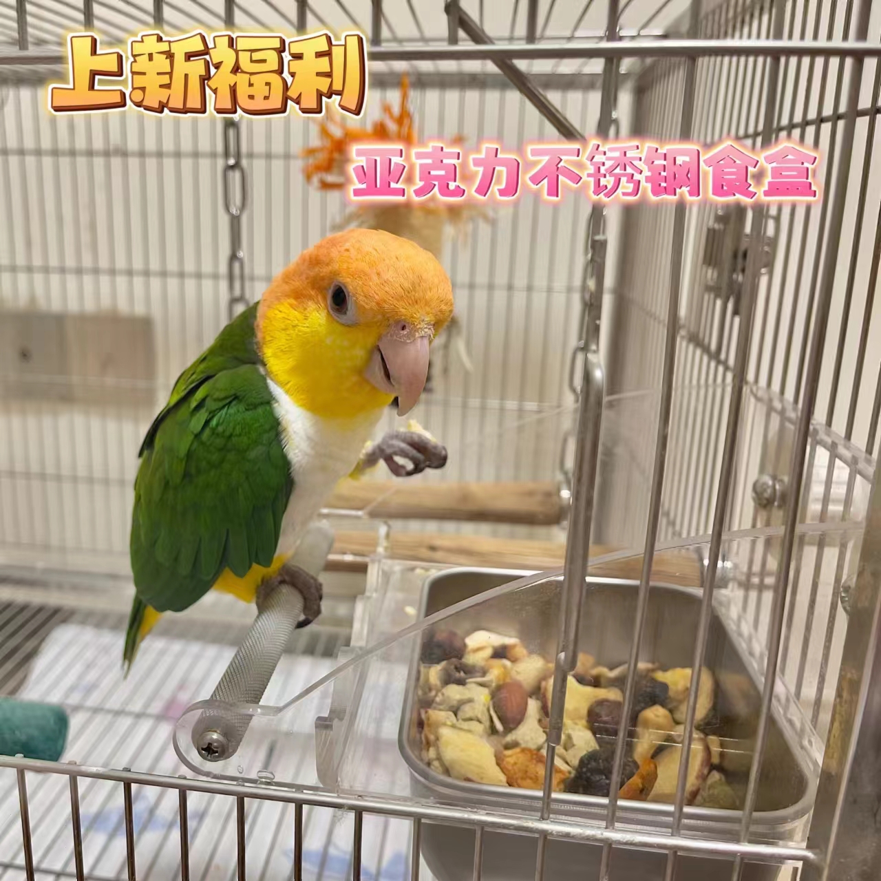 鹦鹉亚克力不锈钢食盒防撒高颜值牡丹玄凤鸟食盒鸟用品