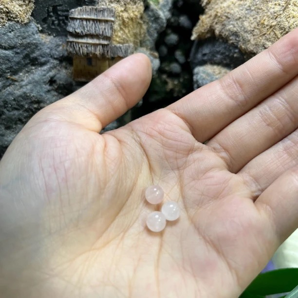 天然水晶珠子手串